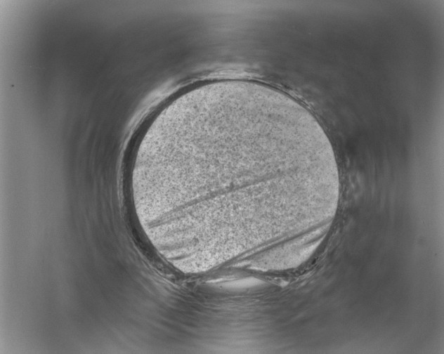 X0000058830296200510282231