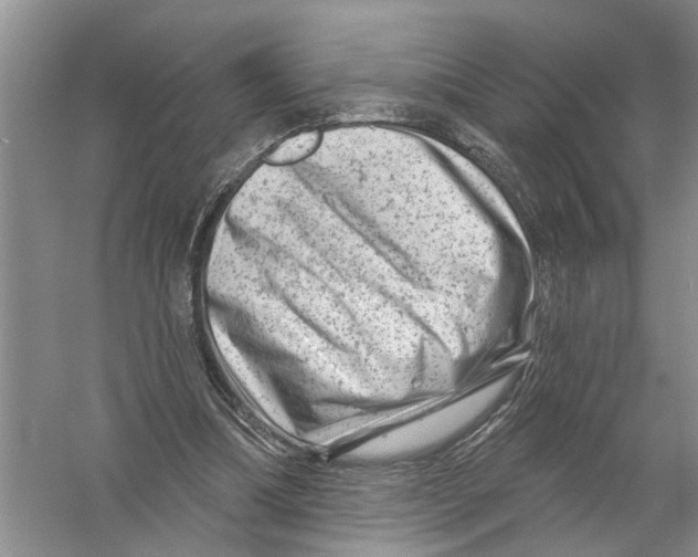 X0000058830298200510282231