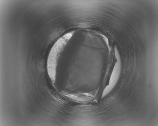 X0000058830303200510282230