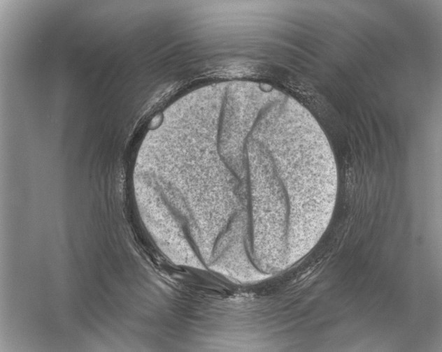 X0000058830304200510282230