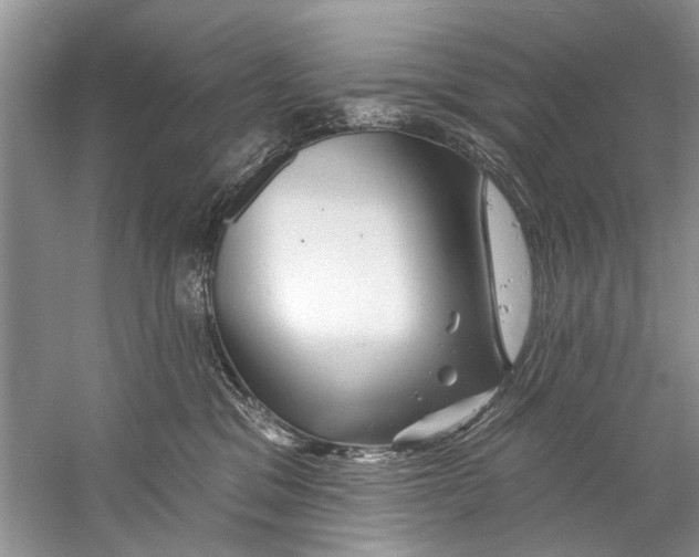 X0000058830329200510282230