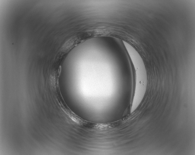 X0000058830333200510282230