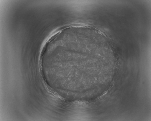 X0000058830343200510282229