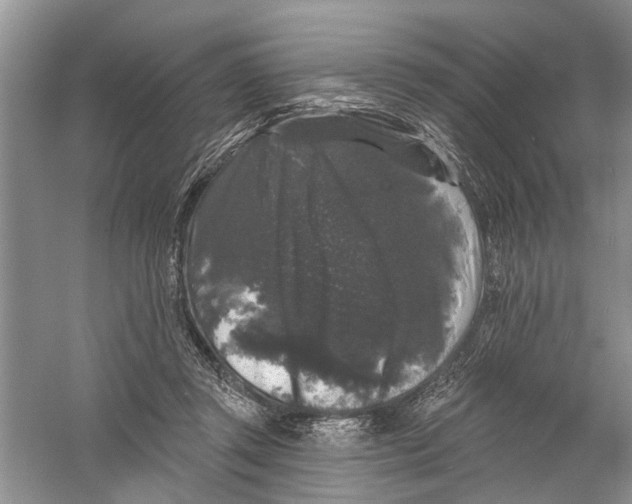 X0000058830357200510282229