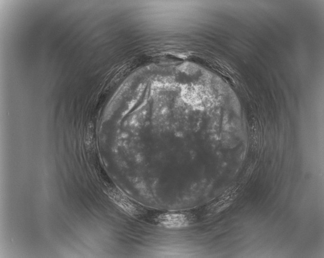 X0000058830361200510282229