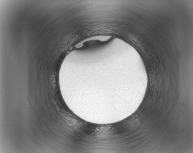 X0000058830362200510282229