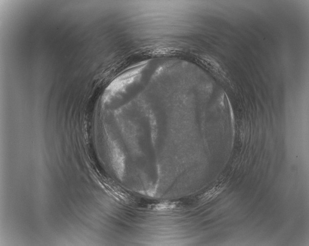 X0000058830366200510282230