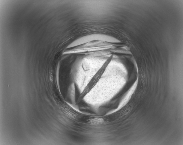 X0000058830374200510282230