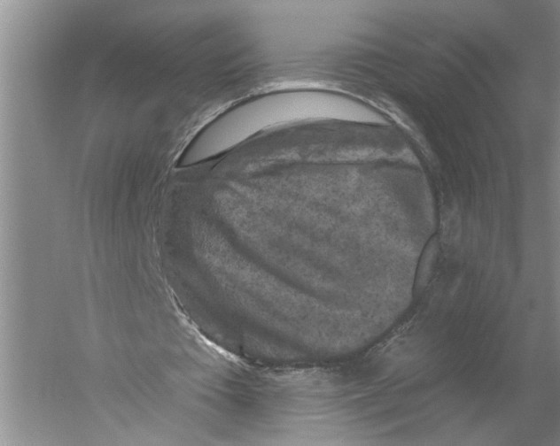 X0000058830385200510282229