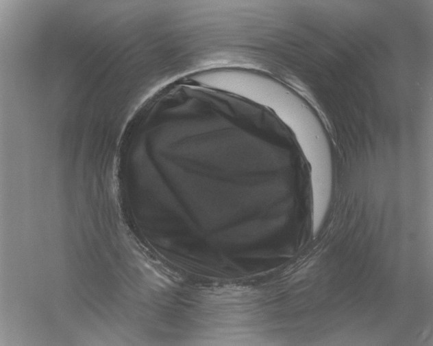 X0000058830387200510282229