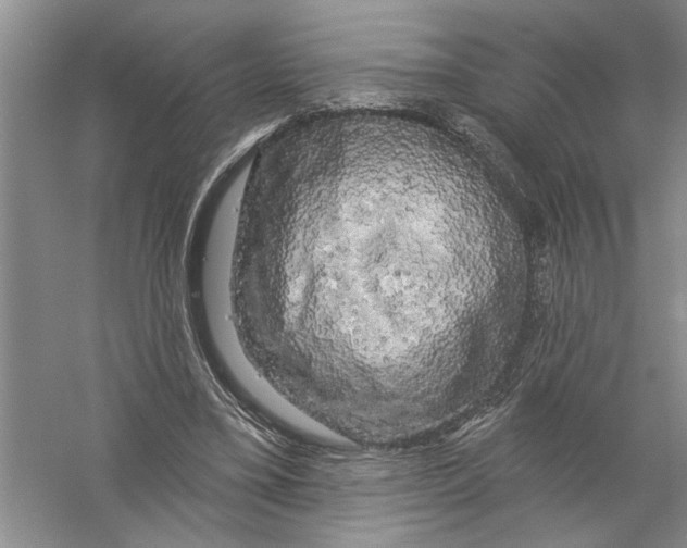 X0000058830395200510282229
