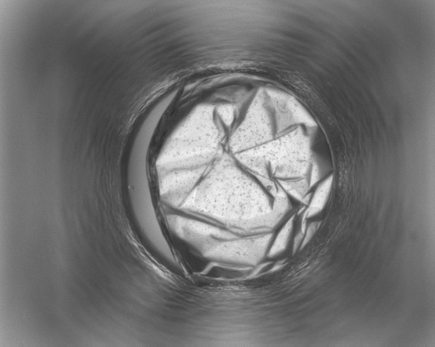 X0000058830397200510282229
