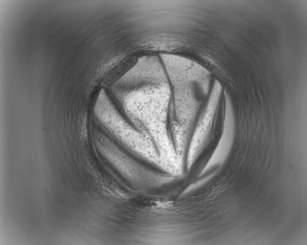 X0000058830403200510282229