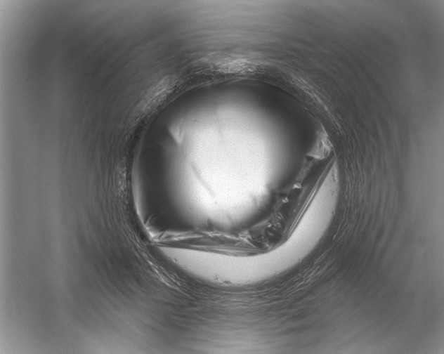 X0000058830407200510282229
