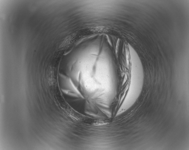 X0000058830416200510282228