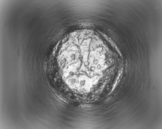 X0000058830417200510282228