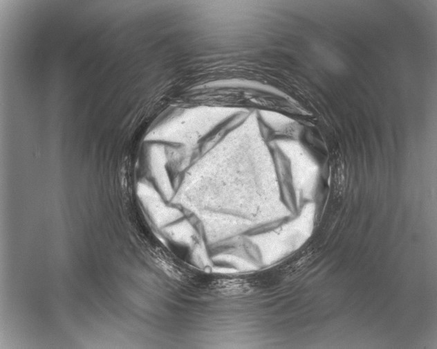 X0000058830424200510282228