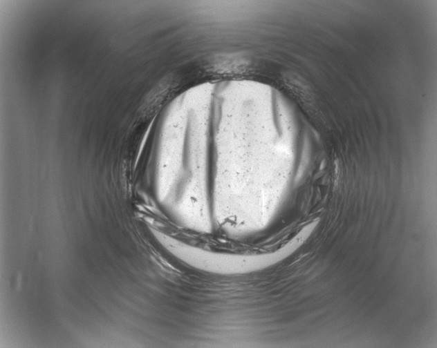 X0000058830428200510282228