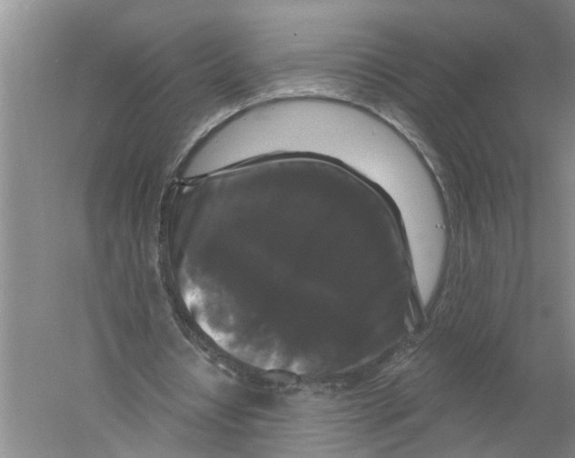 X0000058830434200510282227
