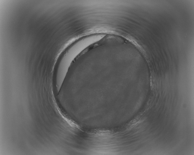 X0000058830438200510282227