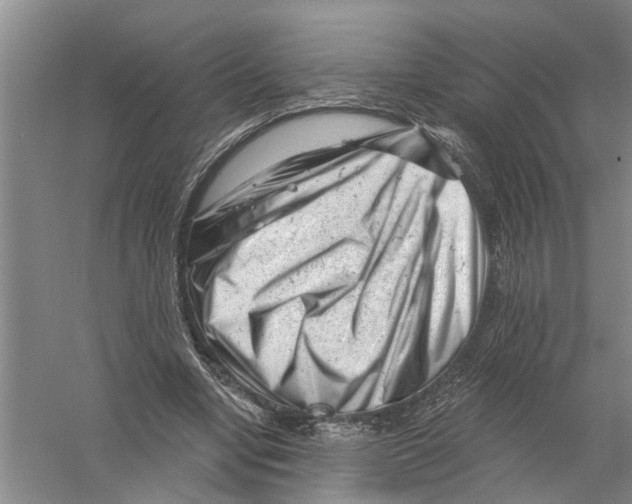 X0000058830442200510282228