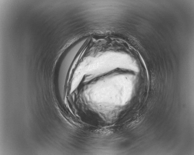X0000058830443200510282228
