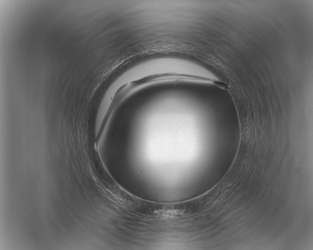 X0000058830448200510282228