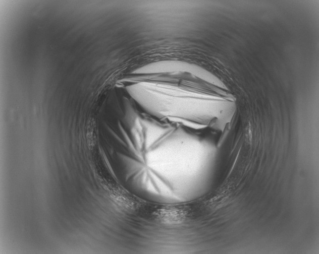 X0000058830464200510282228