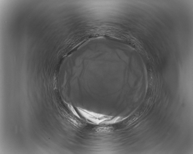 X0000058830465200510282228