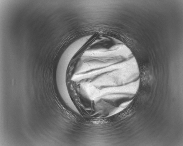 X0000058830466200510282228