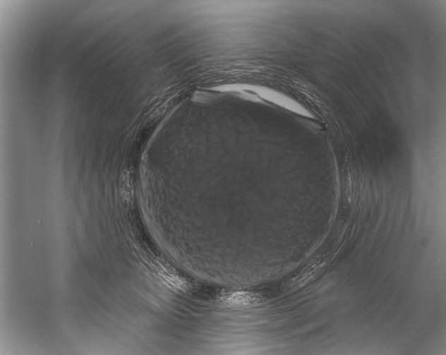 X0000058830467200510282228