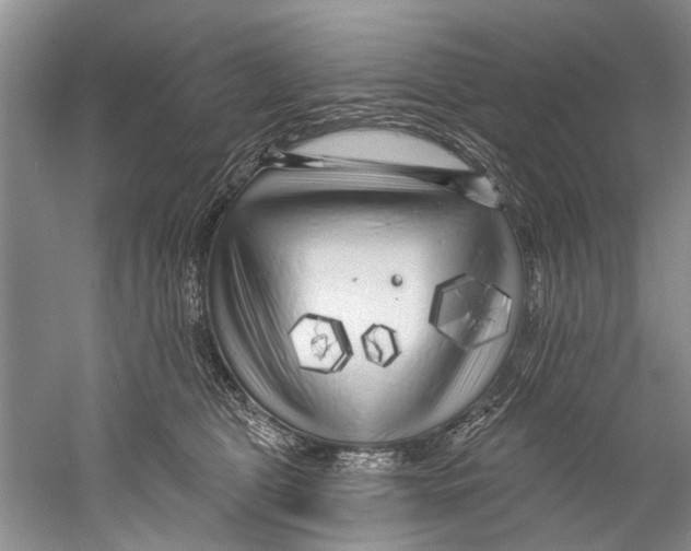 X0000058830469200510282228