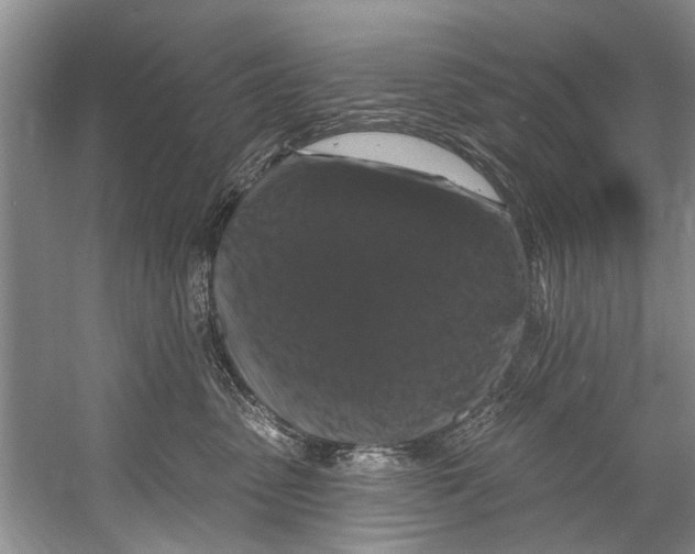 X0000058830475200510282228