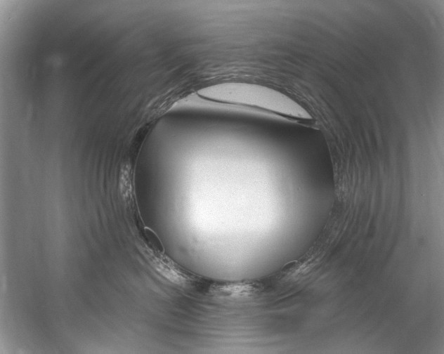 X0000058830478200510282228