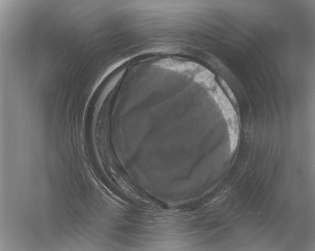 X0000058830484200510282227