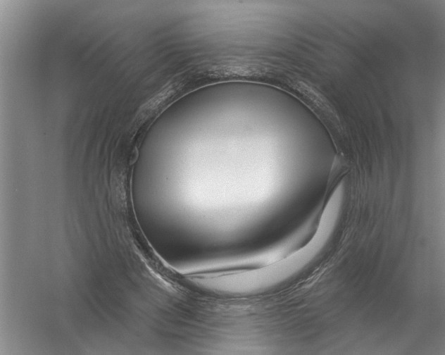 X0000058830489200510282227