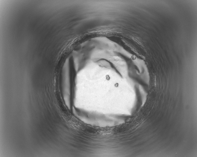X0000058830495200510282227