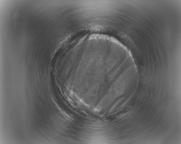 X0000058830496200510282227