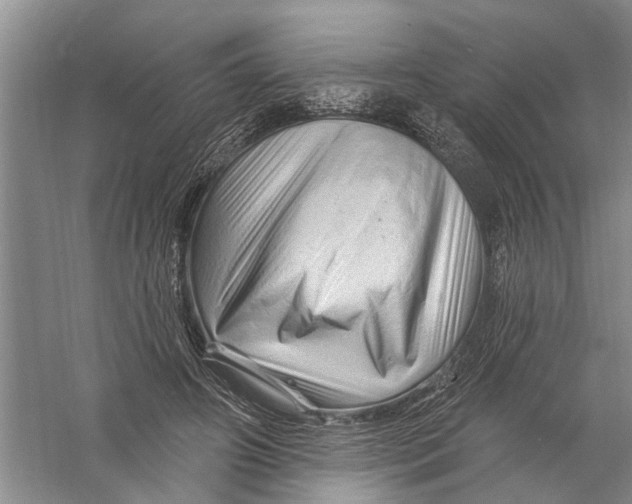 X0000058830498200510282227