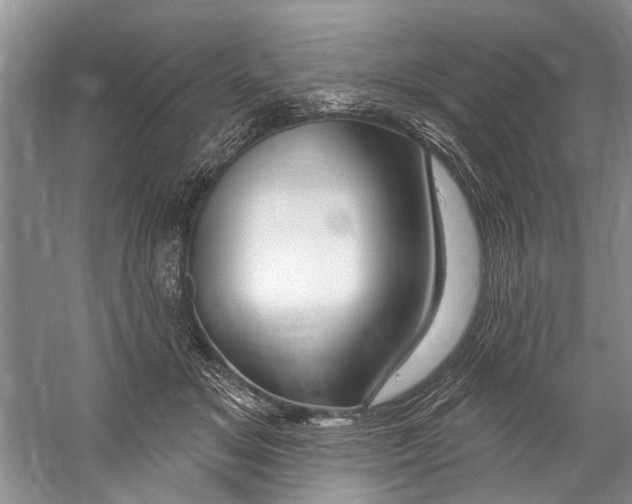 X0000058830509200510282227