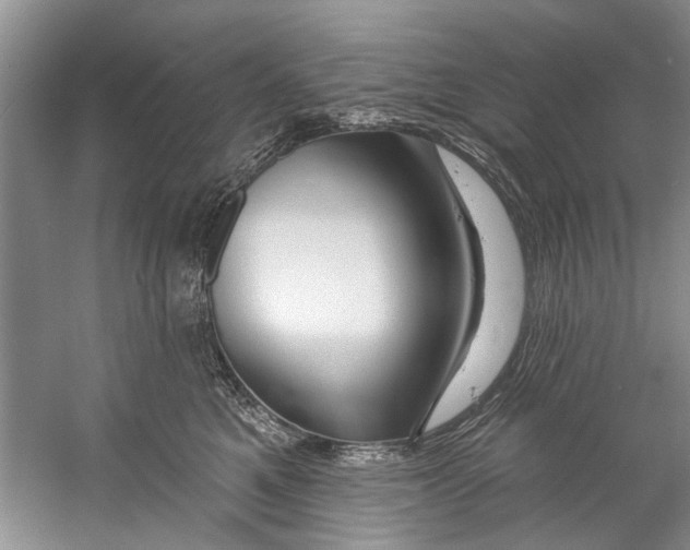 X0000058830521200510282227