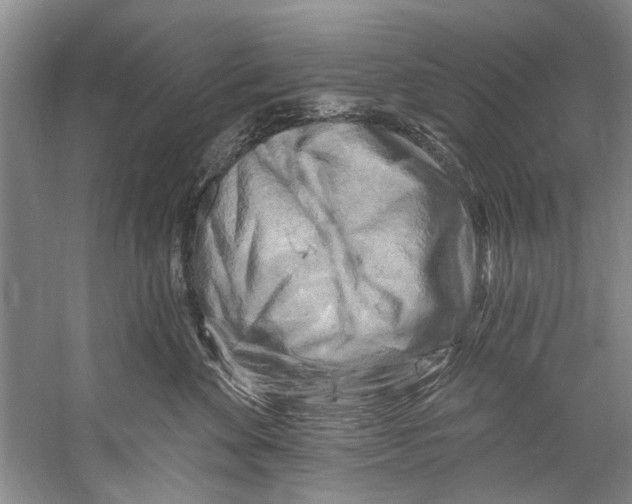 X0000058830524200510282227