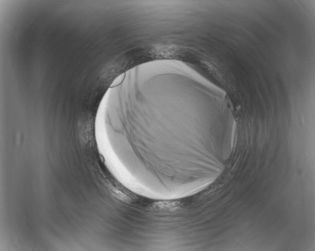 X0000058830526200510282227