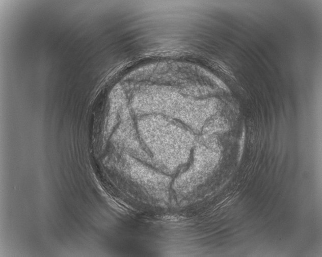 X0000058830542200510282226
