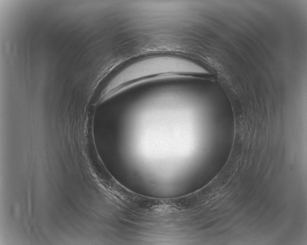 X0000058830544200510282226