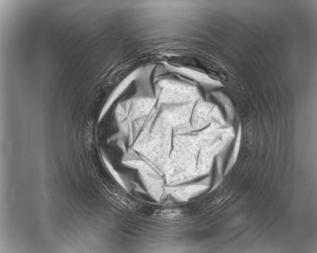 X0000058830554200510282226