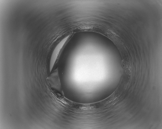 X0000058830556200510282226