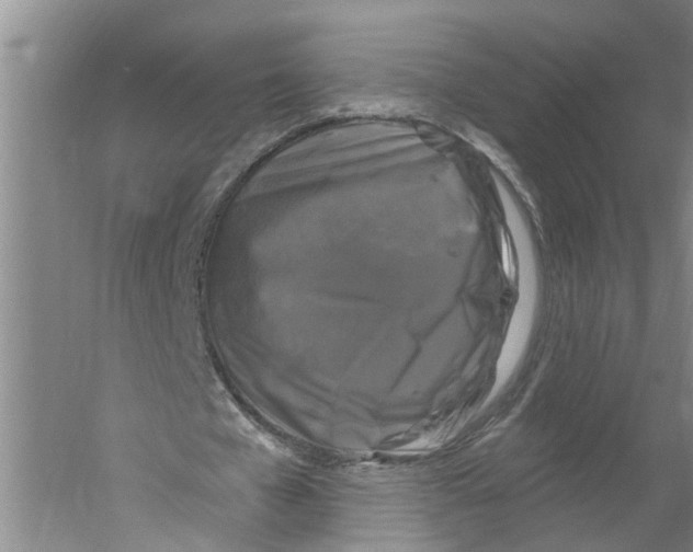 X0000058830577200510282226