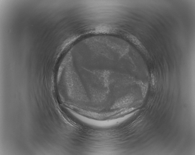 X0000058830588200510282226