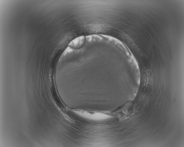 X0000058830590200510282226